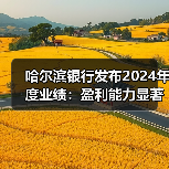 哈尔滨银行发布2024年度业绩:盈利能力显著提升,深度服务实体经济(图4) 哈尔滨银行发布2024年度业绩:盈利能力显著提升,深度服务实体经济(图4)