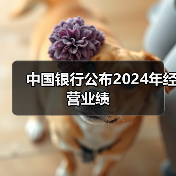 中国银行公布2024年经营业绩(图3) 中国银行公布2024年经营业绩(图3)