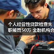 个人经营性贷款检查失职被罚50万 金融机构合规管理漏洞曝光(图3) 个人经营性贷款检查失职被罚50万 金融机构合规管理漏洞曝光(图3)