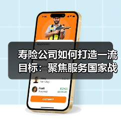 寿险公司如何打造一流目标:聚焦服务国家战略与养老金融创新(图4) 寿险公司如何打造一流目标:聚焦服务国家战略与养老金融创新(图4)
