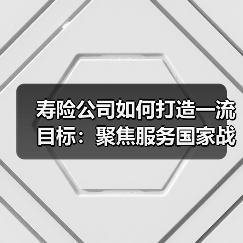 寿险公司如何打造一流目标:聚焦服务国家战略与养老金融创新(图1) 寿险公司如何打造一流目标:聚焦服务国家战略与养老金融创新(图1)