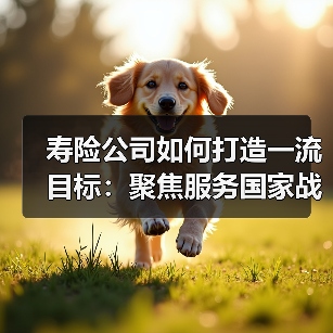 寿险公司如何打造一流目标:聚焦服务国家战略与养老金融创新(图2) 寿险公司如何打造一流目标:聚焦服务国家战略与养老金融创新(图2)