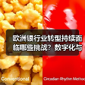 欧洲银行业转型持续面临哪些挑战？数字化与可持续发展难题待解（图3）