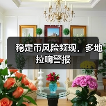 稳定币风险频现,多地拉响警报(图3) 稳定币风险频现,多地拉响警报(图3)
