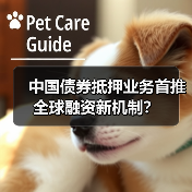 中国债券抵押业务首推全球融资新机制？（图3）