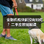 金融机构贷款投向如何?二季度数据解读(图2) 金融机构贷款投向如何?二季度数据解读(图2)