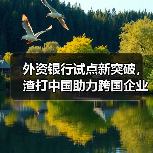 外资银行试点新突破，渣打中国助力跨国企业跨境资金池管理高效便捷（图2）
