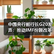 中国央行副行长G20发声:推动IMF份额改革与可持续金融(图2) 中国央行副行长G20发声:推动IMF份额改革与可持续金融(图2)