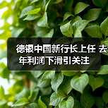 德银中国新行长上任 去年利润下滑引关注（图1）
