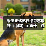 朱彤正式就任德意志银行（中国）董事长，任职资格如何获批？（图1）