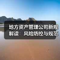 地方资产管理公司新规解读：风险防控与规范发展（图3）