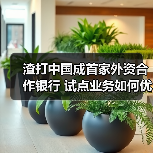 渣打中国成首家外资合作银行 试点业务如何优化跨境资金管理？（图3）