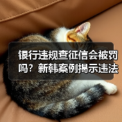 银行违规查征信会被罚吗？新韩案例揭示违法成本（图2）
