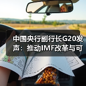 中国央行副行长G20发声：推动IMF改革与可持续金融（图3）