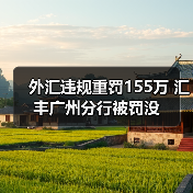 外汇违规重罚155万 汇丰广州分行被罚没（图2）