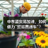 中东盟贸易加速,如何借力 中东盟贸易加速,如何借力