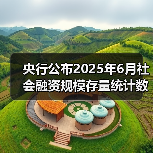 央行公布2025年6月社会融资规模存量统计数据报告（图4）