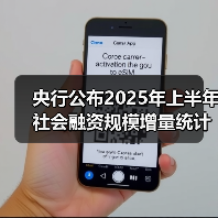 央行公布2025年上半年社会融资规模增量统计数据报告(图2) 央行公布2025年上半年社会融资规模增量统计数据报告(图2)