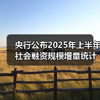 央行公布2025年上半年社会融资规模增量统计数据报告(图4) 央行公布2025年上半年社会融资规模增量统计数据报告(图4)