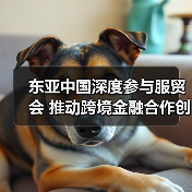 东亚中国深度参与服贸会 推动跨境金融合作创新(图3) 东亚中国深度参与服贸会 推动跨境金融合作创新(图3)