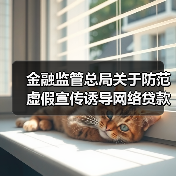 金融监管总局关于防范虚假宣传诱导网络贷款的风险提示（图4）