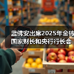 蓝佛安出席2025年金砖国家财长和央行行长会议