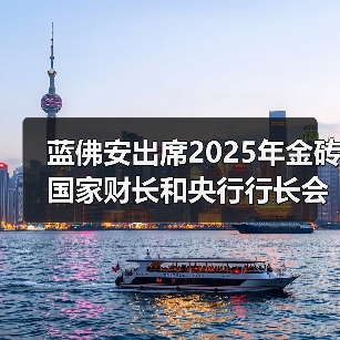 蓝佛安出席2025年金砖国家财长和央行行长会议(图2) 蓝佛安出席2025年金砖国家财长和央行行长会议(图2)