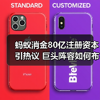 蚂蚁消金80亿注册资本引热议 巨头阵容如何布局消费金融赛道(图3) 蚂蚁消金80亿注册资本引热议 巨头阵容如何布局消费金融赛道(图3)