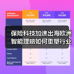 保险科技加速出海欧洲 智能理赔如何重塑行业格局(图4) 保险科技加速出海欧洲 智能理赔如何重塑行业格局(图4)