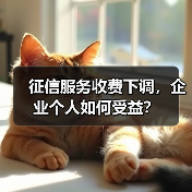 征信服务收费下调,企业个人如何受益?(图2) 征信服务收费下调,企业个人如何受益?(图2)