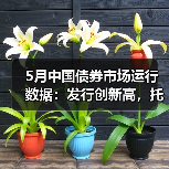 5月中国债券市场运行数据:发行创新高,托管余额达187.2万亿(图3) 5月中国债券市场运行数据:发行创新高,托管余额达187.2万亿(图3)