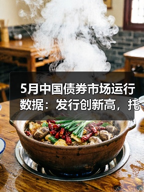 5月中国债券市场运行数据:发行创新高,托管余额达187.2万亿(图4) 5月中国债券市场运行数据:发行创新高,托管余额达187.2万亿(图4)