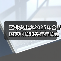 蓝佛安出席2025年金砖国家财长和央行行长会议(图3) 蓝佛安出席2025年金砖国家财长和央行行长会议(图3)