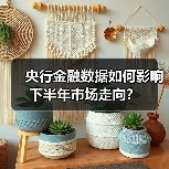 央行金融数据如何影响下半年市场走向?(图1) 央行金融数据如何影响下半年市场走向?(图1)