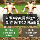 证监会首创同步追责机制 严惩财务造假及配合方(图2) 证监会首创同步追责机制 严惩财务造假及配合方(图2)