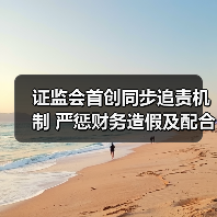 证监会首创同步追责机制 严惩财务造假及配合方(图3) 证监会首创同步追责机制 严惩财务造假及配合方(图3)