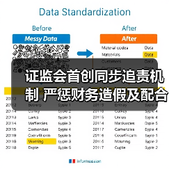 证监会首创同步追责机制 严惩财务造假及配合方(图4) 证监会首创同步追责机制 严惩财务造假及配合方(图4)