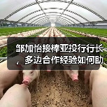邹加怡接棒亚投行行长,多边合作经验如何助力未来?(图4) 邹加怡接棒亚投行行长,多边合作经验如何助力未来?(图4)
