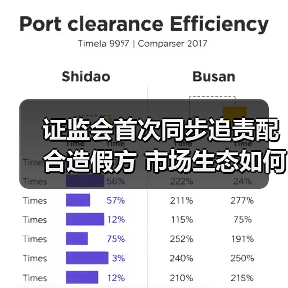 证监会首次同步追责配合造假方 市场生态如何重塑?(图3) 证监会首次同步追责配合造假方 市场生态如何重塑?(图3)