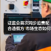 证监会首次同步追责配合造假方 市场生态如何重塑?(图4) 证监会首次同步追责配合造假方 市场生态如何重塑?(图4)
