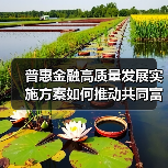 普惠金融高质量发展实施方案如何推动共同富裕?(图2) 普惠金融高质量发展实施方案如何推动共同富裕?(图2)