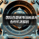 国际自愿碳市场挑战与合作机遇解析（图4）