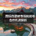 国际自愿碳市场挑战与合作机遇解析（图3）