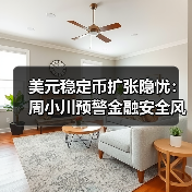 美元稳定币扩张隐忧：周小川预警金融安全风险（图3）