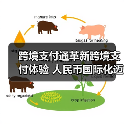 跨境支付通革新跨境支付体验 人民币国际化迈出关键一步（图4）