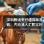 深圳跨境支付通首单落地，内地港人汇款实时到账（图4）