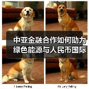 中亚金融合作如何助力绿色能源与人民币国际化？（图4）