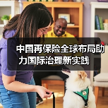 中国再保险全球布局助力国际治理新实践（图4）