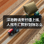 深港跨境支付通上线，人民币汇款秒到账怎么实现？（图3）