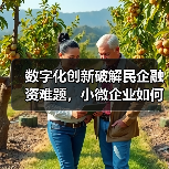 数字化创新破解民企融资难题，小微企业如何高效获得资金？（图4）